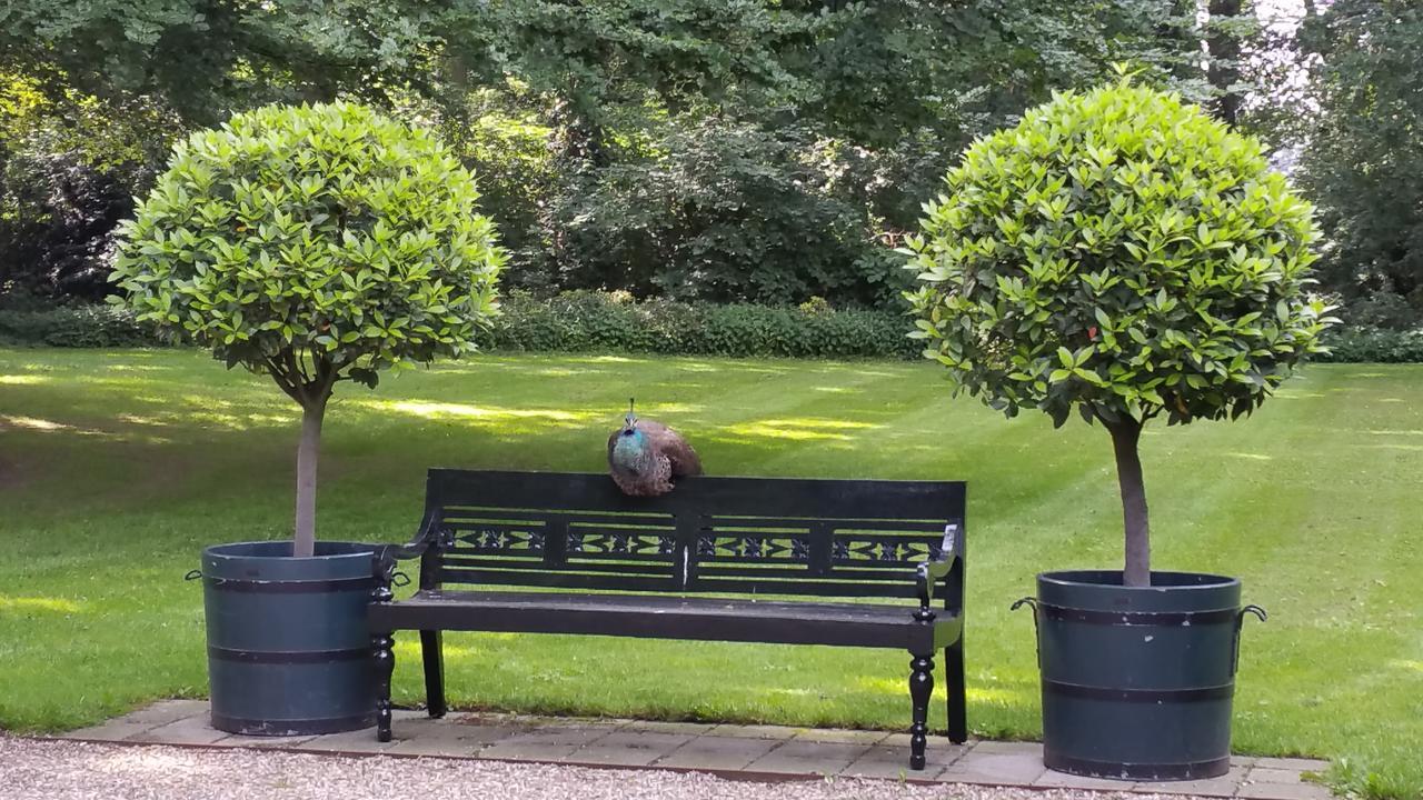 B&B En Spa Landgoed Matanze Terwolde Exteriör bild